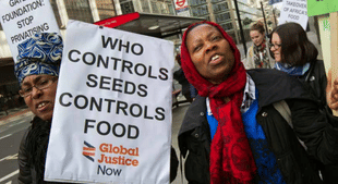 Hullabaloo Hurray Hurray! NGOs are back but still stuck in luddite days. Unless, of course, there is an agenda.